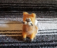 Orange Cat