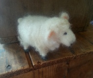 Sheep