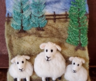 Sheep