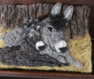 Donkey
