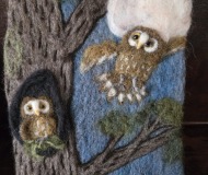 Owls