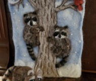 Racoons