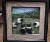 Sheep